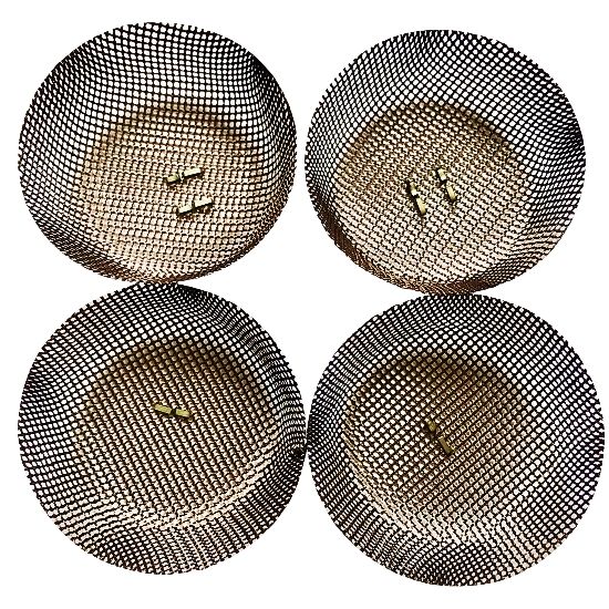 Cap Filter Mesh